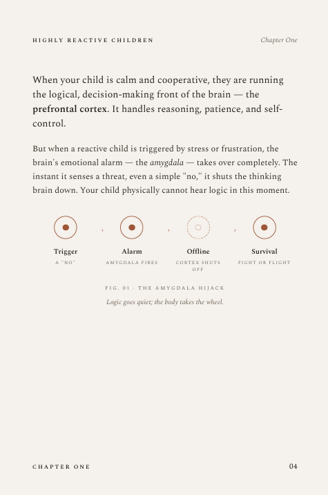 How to Deal With Highly Reactive Children