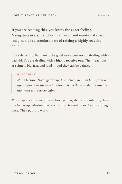 How to Deal With Highly Reactive Children